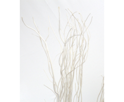 Weiden-Zweige Bündel weiß - 180cm lang