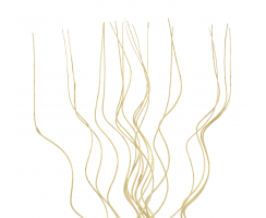 Weiden-Zweige Bündel hell-braun - 160cm lang