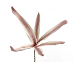 Kunstblume 100cm Schilf in alt-rosa 1 Stück