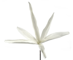 Kunstblume 100cm Schilf in weiß 1 Stück