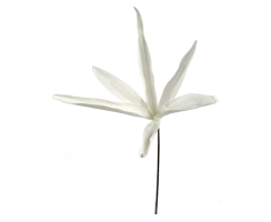 Kunstblume 100cm Schilf in weiß 1 Stück