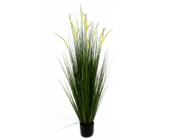Kunst-Pflanze Gras im Topf Schilfgras mit langen creme-farbenen Kolben 150cm
