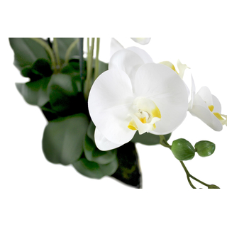 Kunst-Pflanze Orchidee Schiffchen Topf silber glänzend und weiße Blüten 60cm hoch