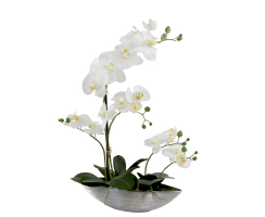 Kunst-Pflanze Orchidee Schiffchen Topf silber glänzend und weiße Blüten 53cm hoch