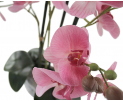Kunst-Pflanze Orchidee ovaler Topf weiß hochglanz und rosa Blüten 58cm hoch