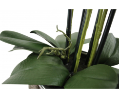 Kunst-Pflanze Orchidee runder Topf braun gold und weiße Blüten 60cm