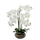 Kunst-Pflanze Orchidee runder Topf braun gold und weiße Blüten 60cm