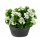 Kunstpflanze Strauch Phlox weiß 32cm 1 Stück