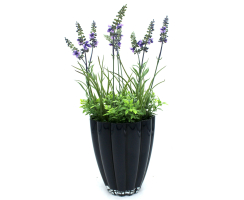 Blumentopf aus Glas Ø 14 x 17cm konisch dunkel-blau Bloom Orchideen-Topf Übertopf Blumenvase