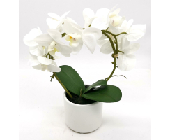 Kunst-Pflanze Orchidee runder Topf weiß hochglanz und weiße Blüten 36cm hoch