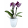 Keramik Blumen-Topf abgerundet konisch 12  x 13cm weiß