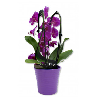 Keramik Blumen-Topf rund gewellt lila