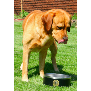 Hundenapf aus Edelstahl mit Bitcoin-Logo in Schwarz - Ø 17cm / 1 Liter