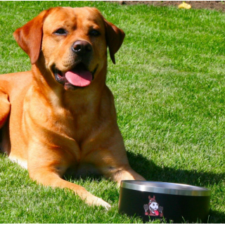 Hundenapf aus Edelstahl mit Bitcoin-Logo in Schwarz - Ø 17cm / 1 Liter