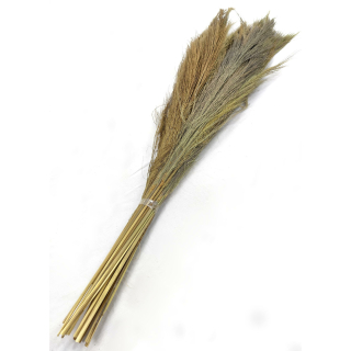 Ziergras-Bündel getrocknet natur braun 110cm chinesischer Besen Trockenblume