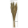 Ziergras-Bündel getrocknet natur braun 110cm chinesischer Besen Trockenblume