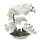 Kunst-Pflanze Orchidee weiße Blüten 53cm hoch KeramikTopf hochglanz weiß künstliche Orchidee Kunstblume