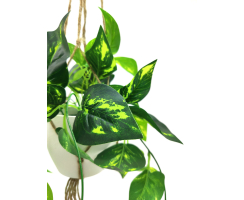 Kunst-Pflanze Efeutute Blumenampel Makramee Hängetopf grün 30 x 68cm künstliche Hängepflanze Kunstblume