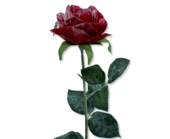 Kunstpflanze Rose vereist 65 cm rot grün glitzer Zweig Kunstrose künstliche Pflanze glitzer