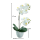 Kunst-Pflanze Orchidee weiße Blüten 47cm Keramik Topf künstliche Phalaenopsis Kunstblume