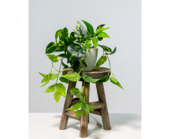 Holz Hocker braun natur 16 x 25cm Sitzhocker Dekohocker Blumen-Hocker Beistell-Tisch