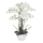 Kunstpflanze Orchidee XXL mit Keramiktopf - ca. 70 cm hoch weiß