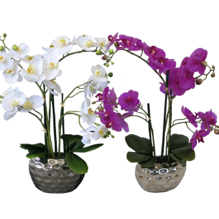 Künstliche Orchideen XL 60cm hoch Weiß im Deko Topf wie Echt groß