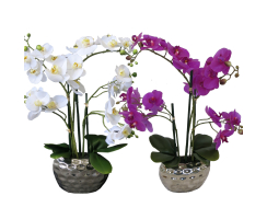 Kunstpflanze Orchidee XL mit Keramiktopf - ca. 53 cm hoch