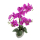 Kunst-Pflanze Orchidee ovaler Topf silber hochglanz und lila Blüten 53cm hoch künstliche Blume Phalaenopsis