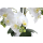 Kunst-Pflanze Orchidee ovaler Topf weiß hochglanz und weiße Blüten 53cm hoch künstliche Blume Phalaenopsis