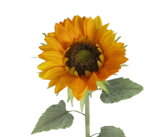 Kunstpflanze Sonnenblume 94 cm