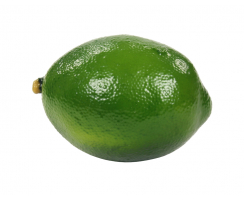 Deko Früchte Limone 4 Stück