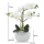 Kunst-Pflanze Orchidee ovaler Topf weiß hochglanz und weiße Blüten 33cm hoch künstliche Blume Phalaenopsis