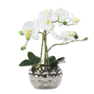 kaufen! ca. Kunstpflanze mit 37,99 XL - hoc, cm € Orchidee Jetzt Keramiktopf 53