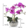 Kunst-Pflanze Orchidee ovaler Topf silber hochglanz und lila Blüten 33cm hoch künstliche Blume Phalaenopsis