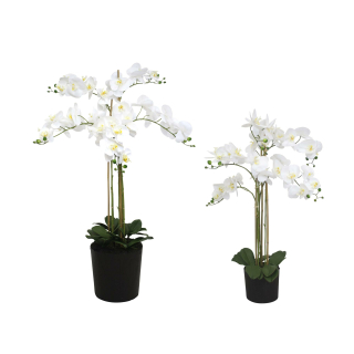 riesige künstliche Orchidee mit weißen Blüten