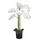 riesige künstliche Orchidee mit weißen Blüten 90 cm
