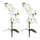 Orchideen-Zweig künstlich 2 Stück (A - mit Blättern 38cm)