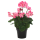Kunst-Blume Geranie stehend 1 Stück rosa