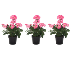 Kunst-Blume Geranie stehend 3 Stück rosa
