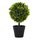 Kunst-Pflanze Buchs-Baum mit Stamm 1 Stück