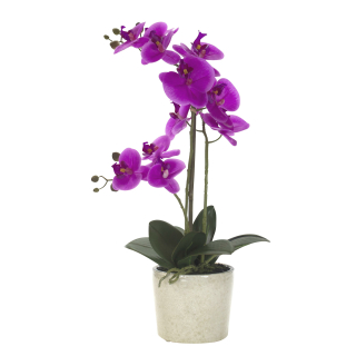Künstliche Orchidee - Topf beige XL - 55 cm Blüten lila