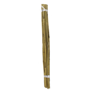 Bambusrohr 1 Bündel mit 20 Stäben je 60cm