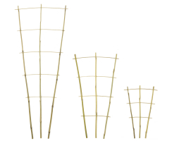 Bambusrohr Rankgitter